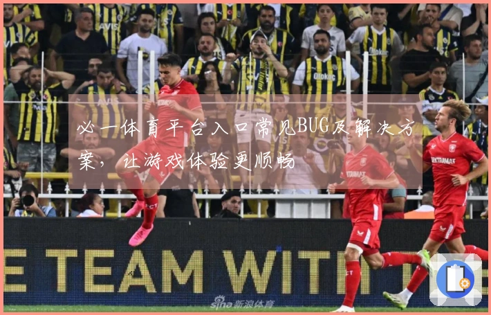 必一体育平台入口常见BUG及解决方案，让游戏体验更顺畅