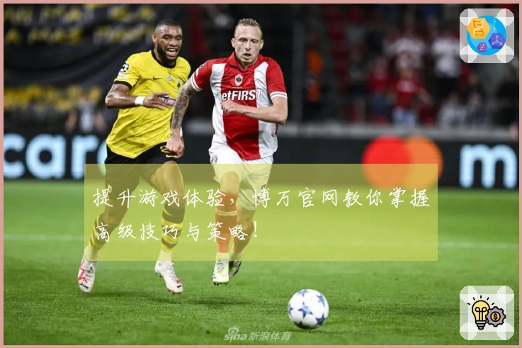 提升游戏体验,博万官网教你掌握高级技巧与策略!